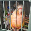 katherinenic574